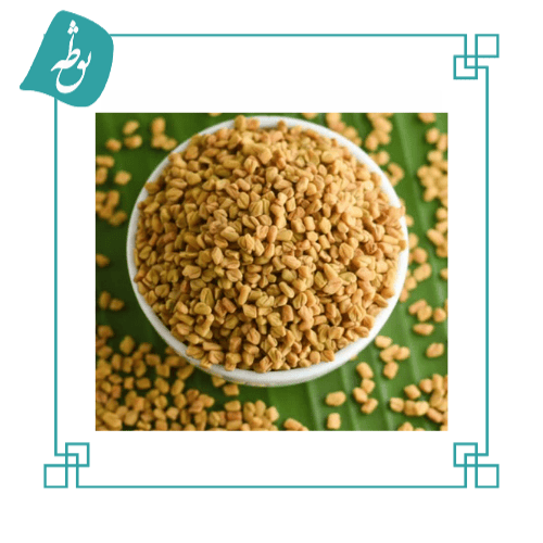 Premium dried fenugreek